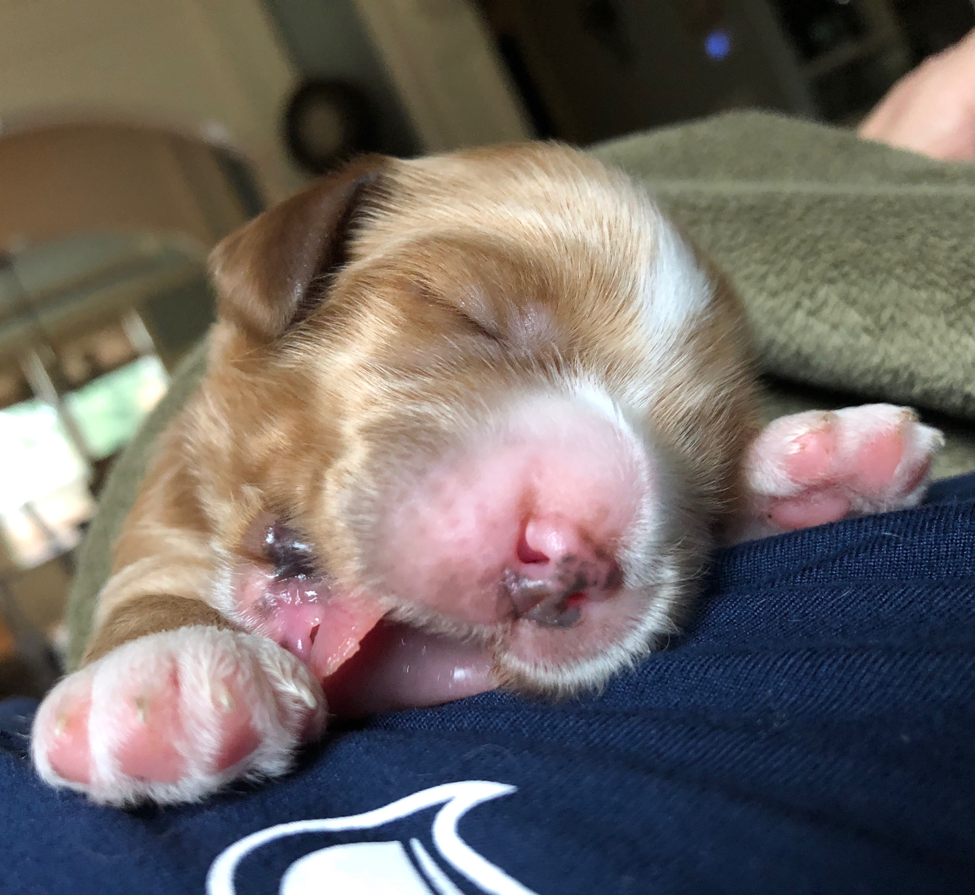 Milk Drunk