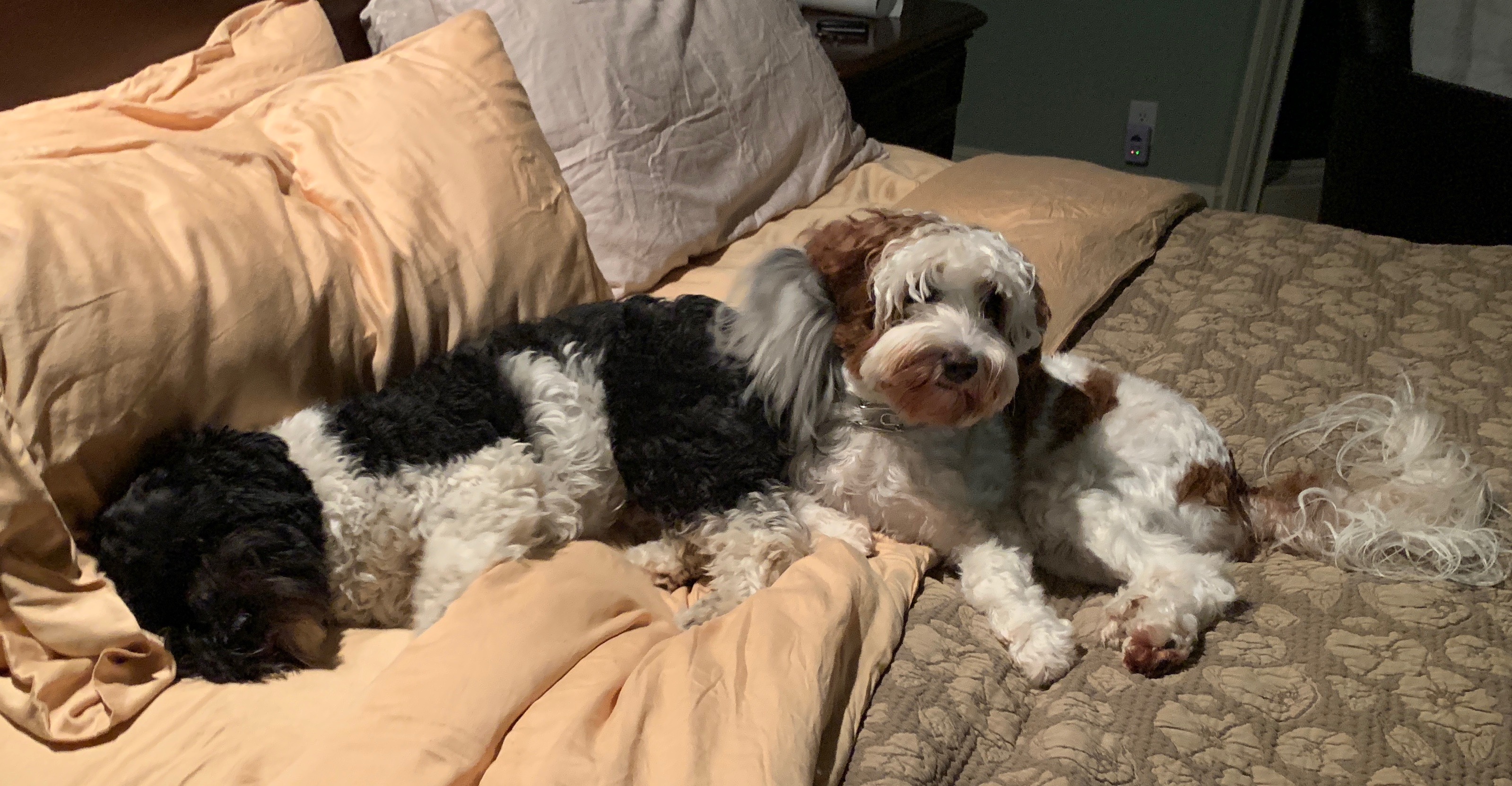 Best Friends