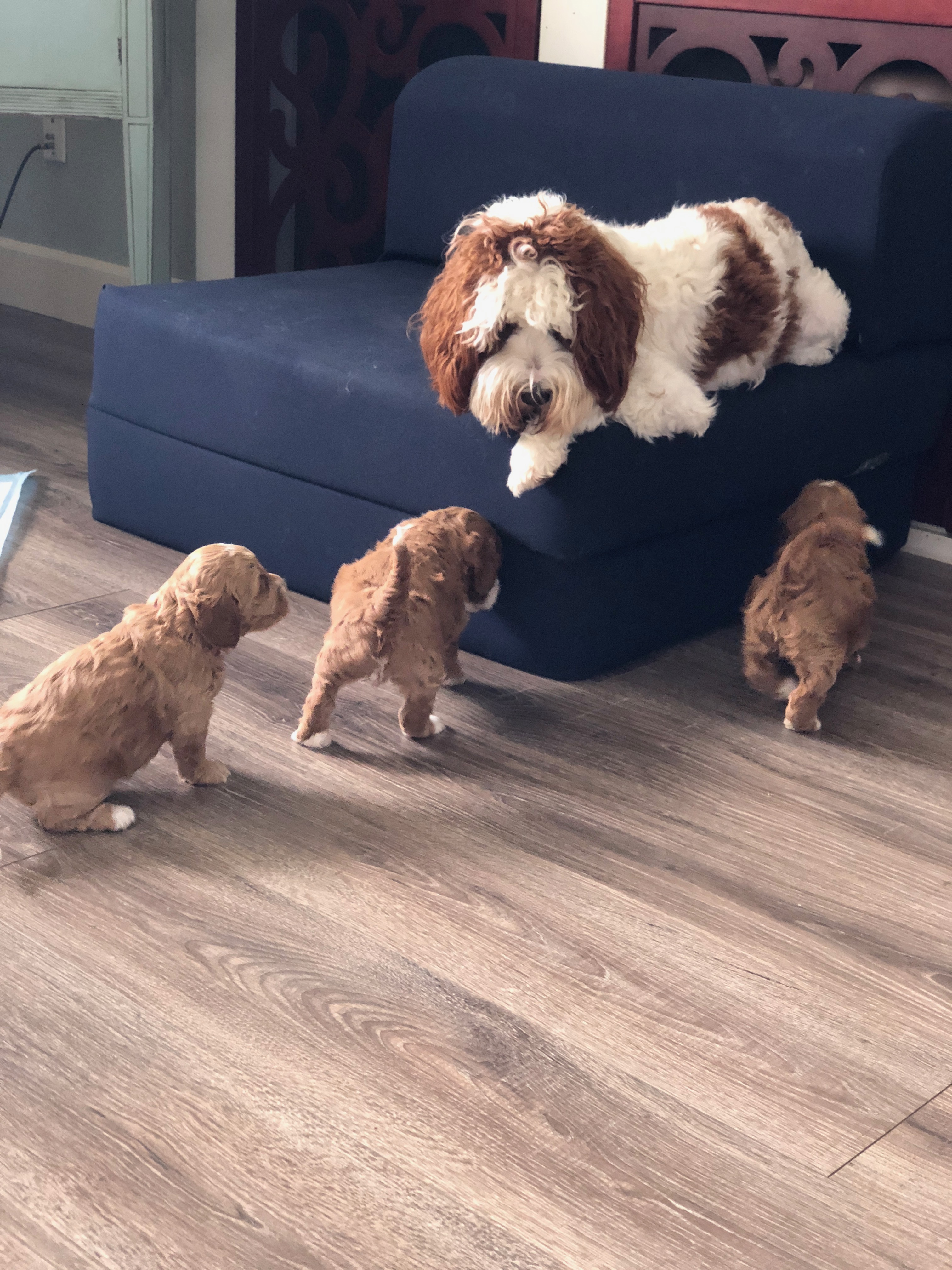 Ruby being a good big sister