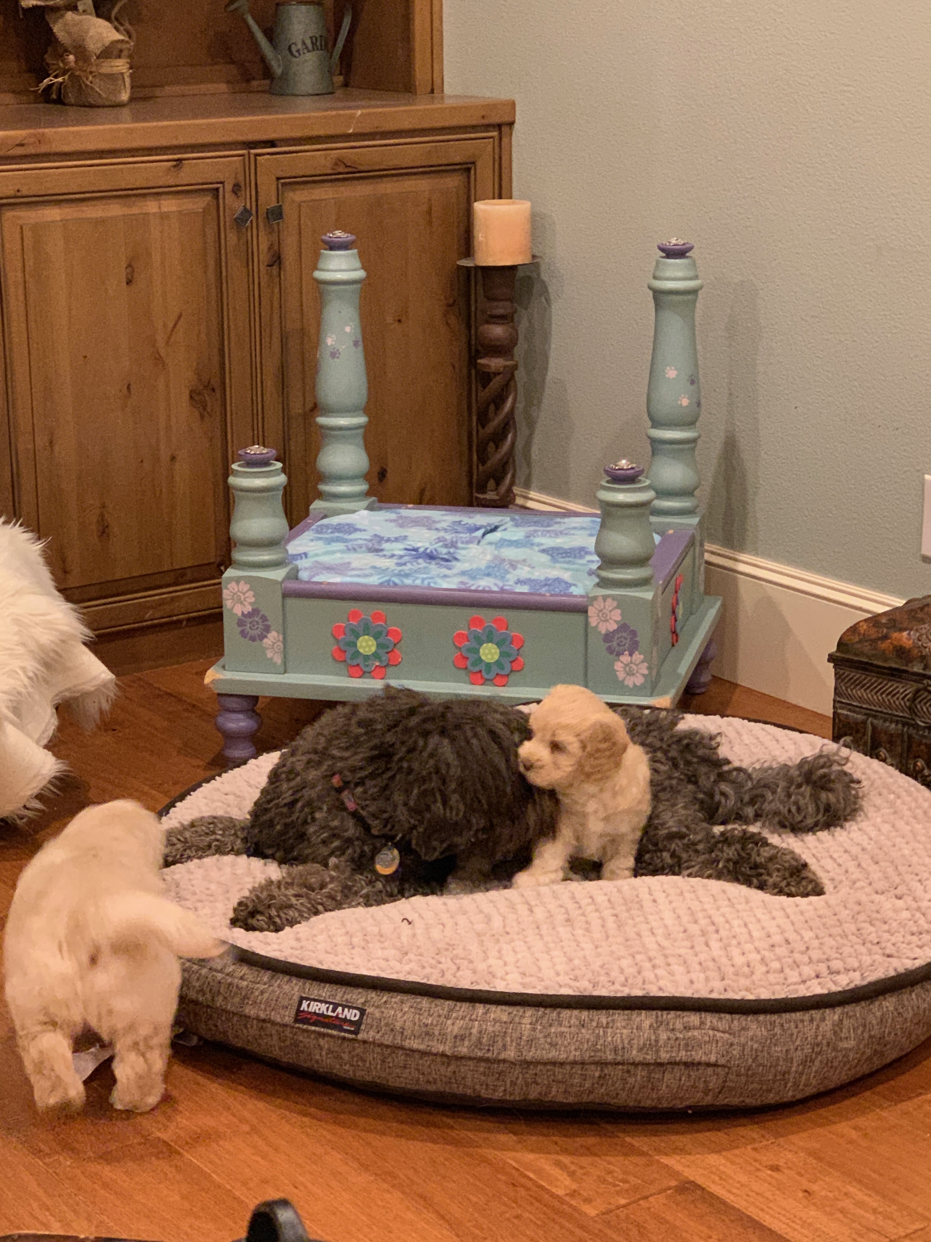 Romp time with mom