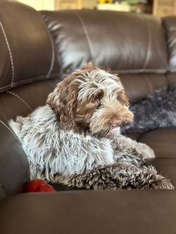 454702905_10230277996121175_1813790292341271725_n