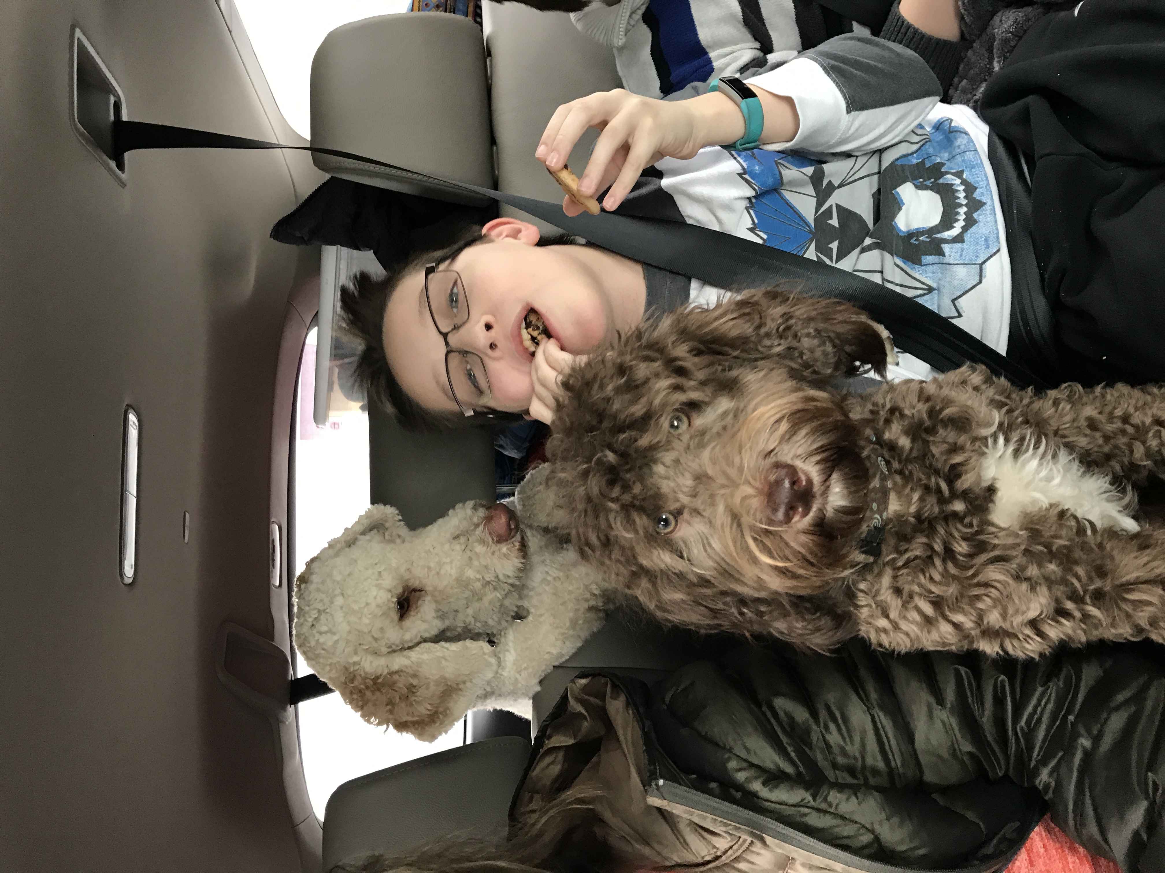 Road Trip!