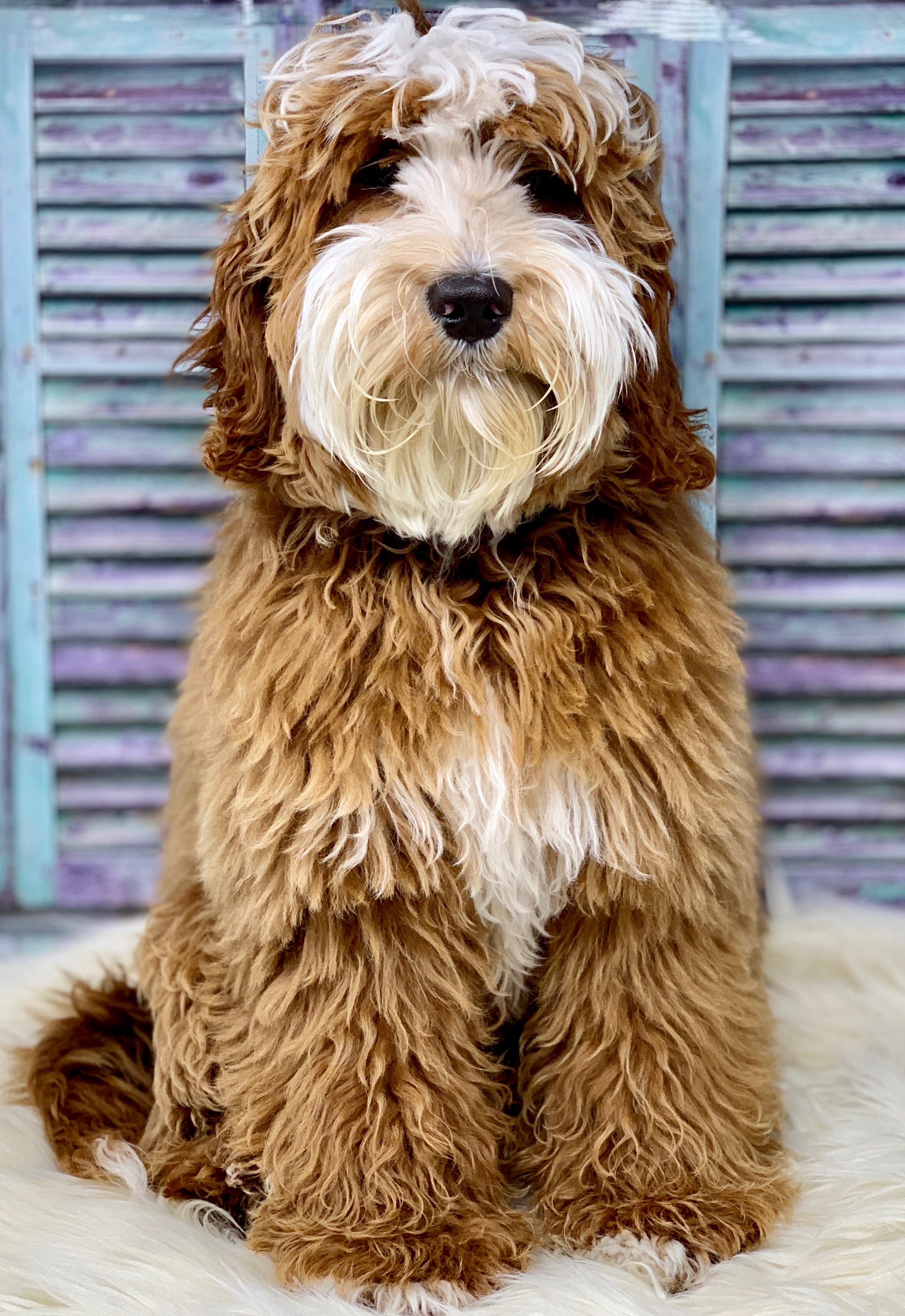 Hudson