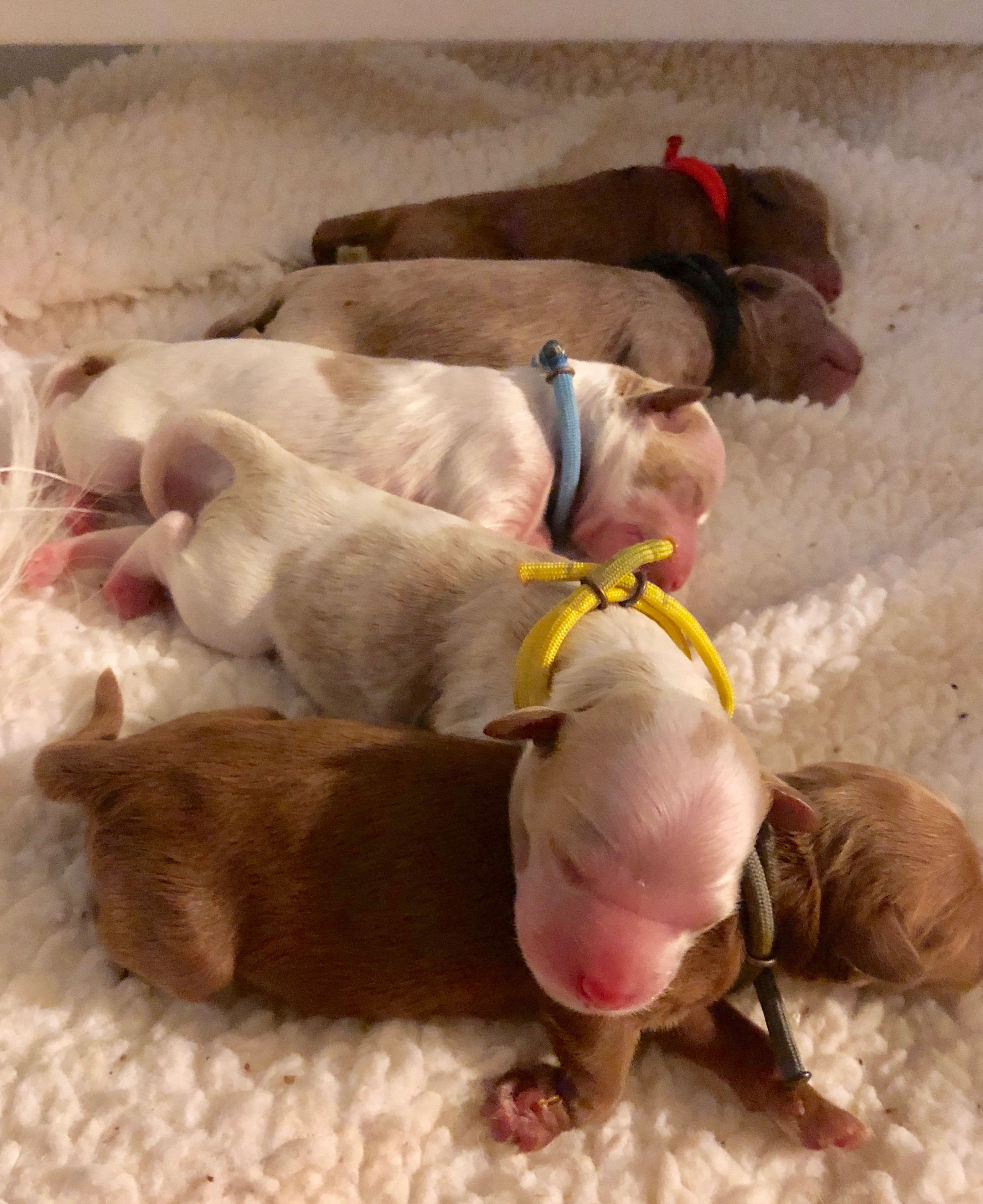 So TINY!!