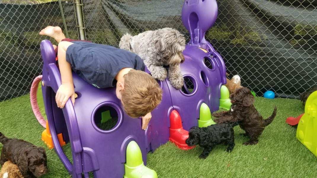 Fun in the sun!