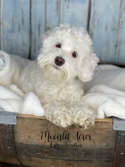 Image 11-11-22 at 10.48 AM