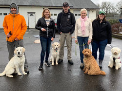 CGC EXAM Nailed it! ❤️