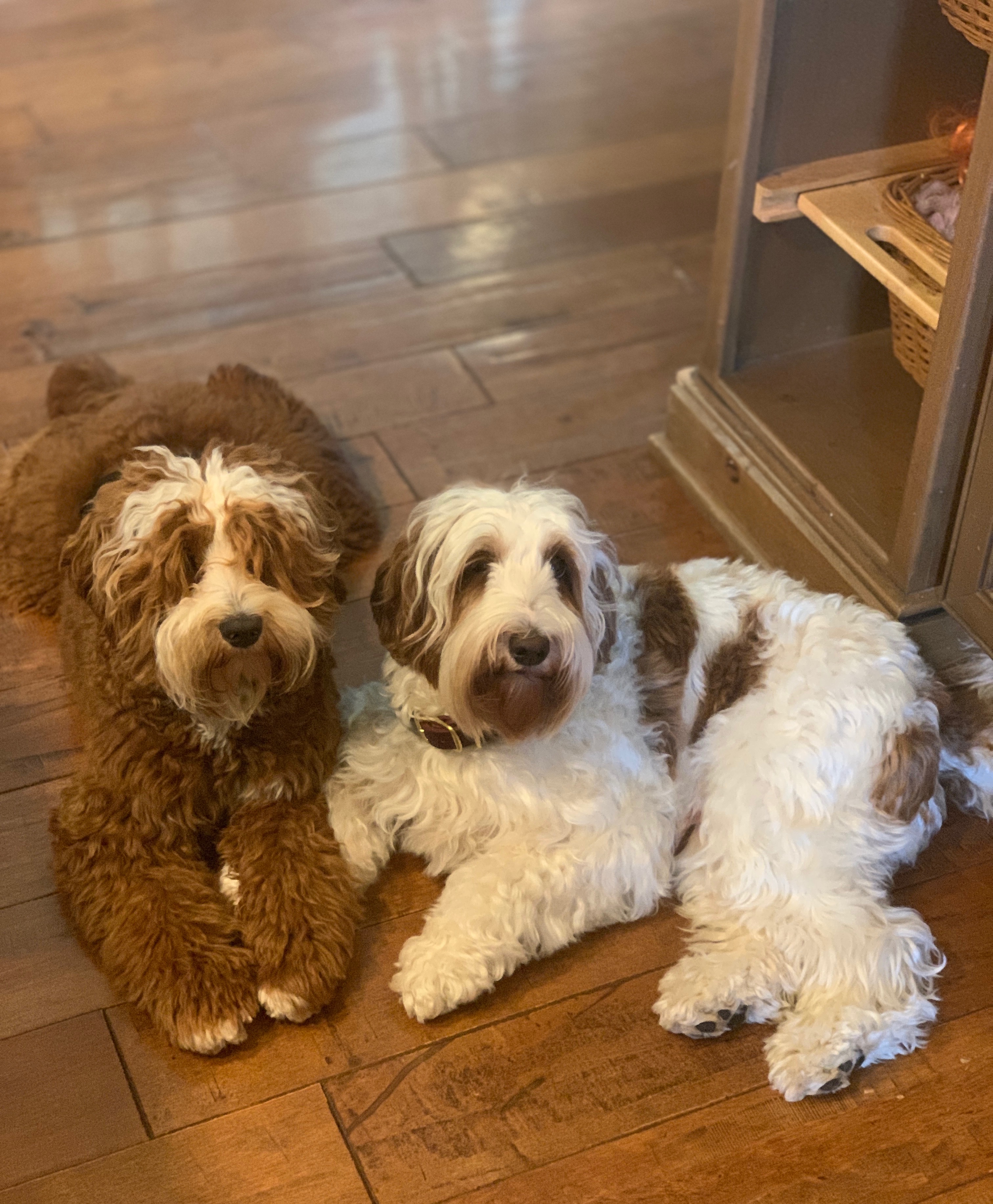 Best Friends