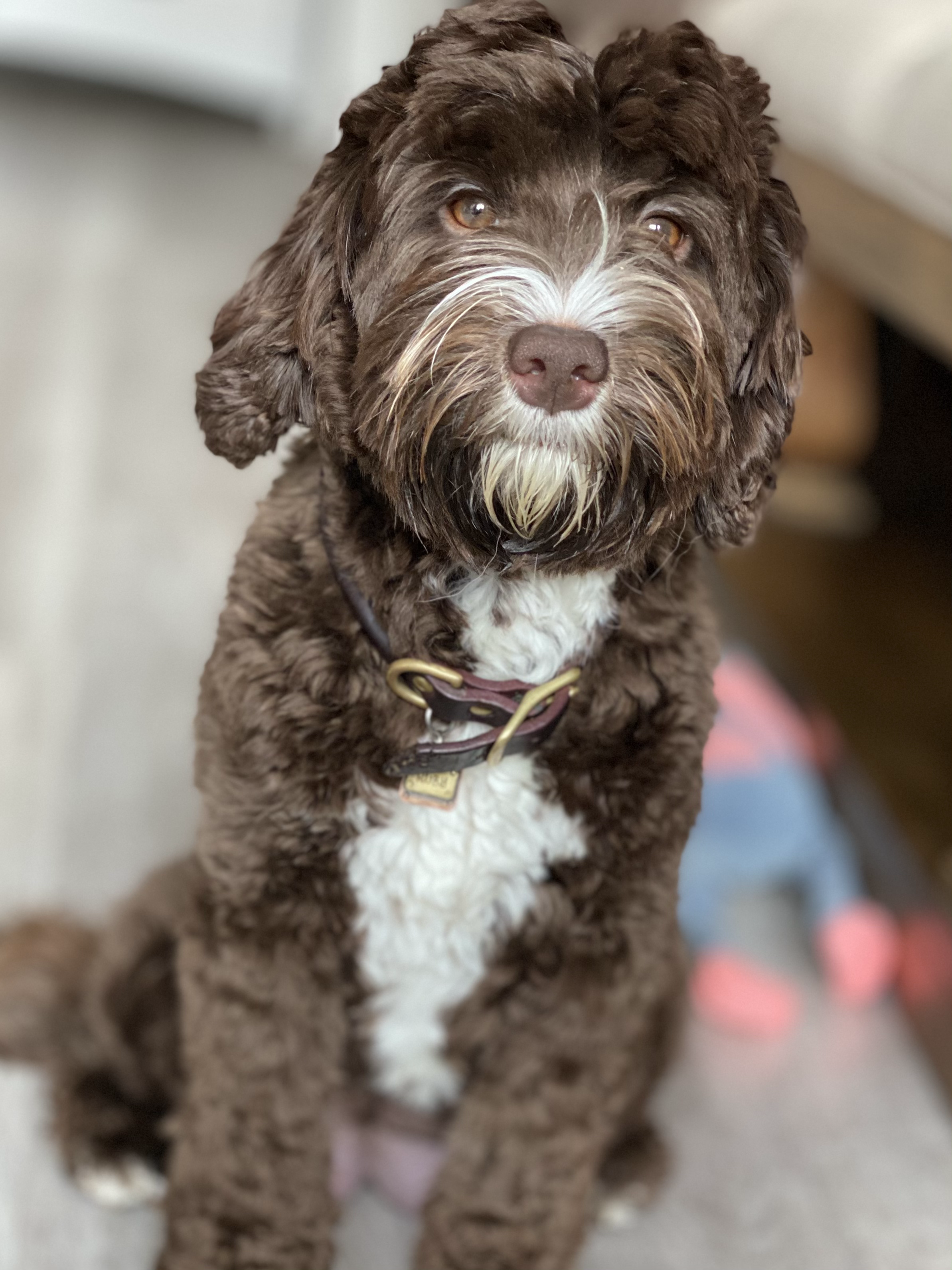 Mama Charlie