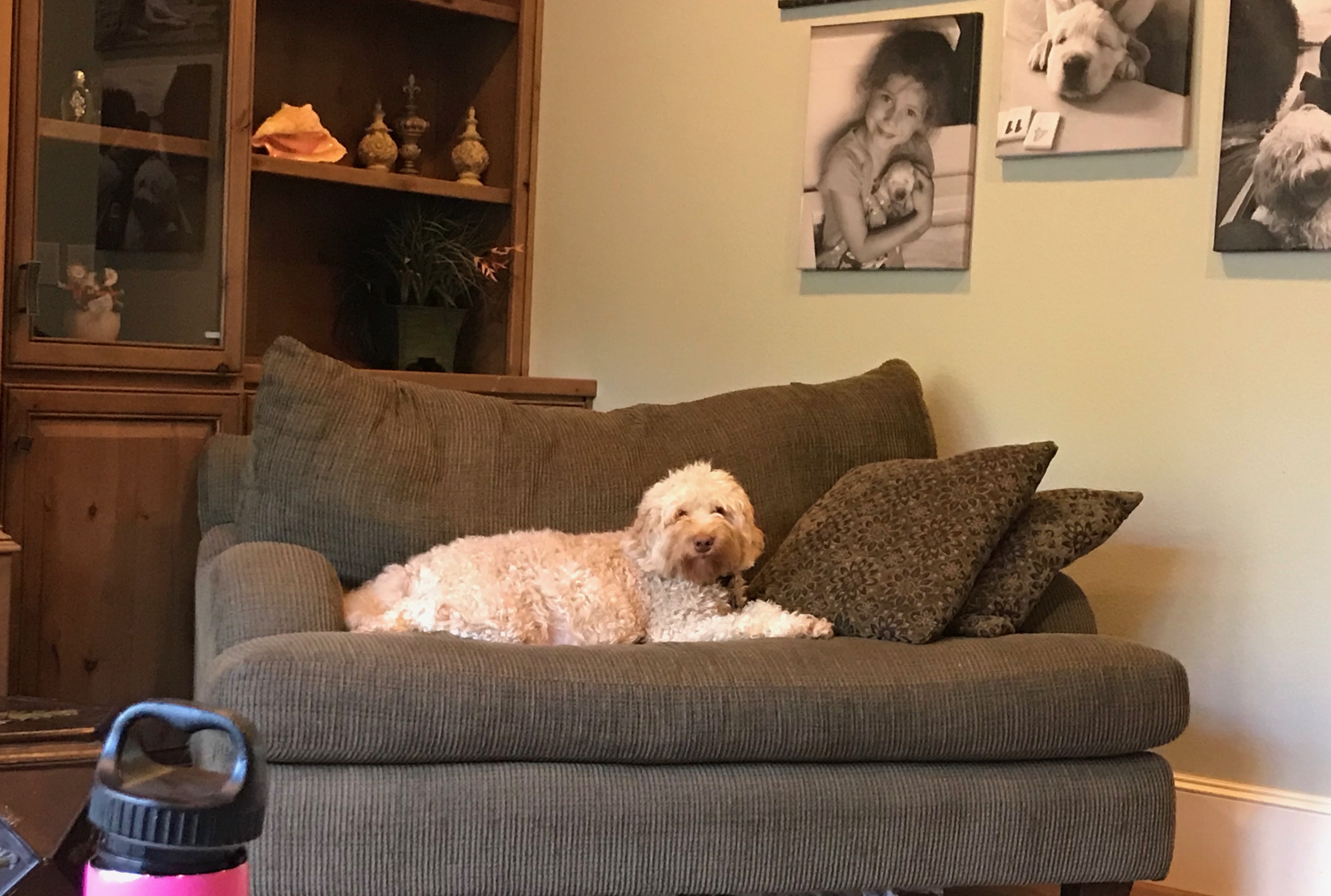 Getting Comfy