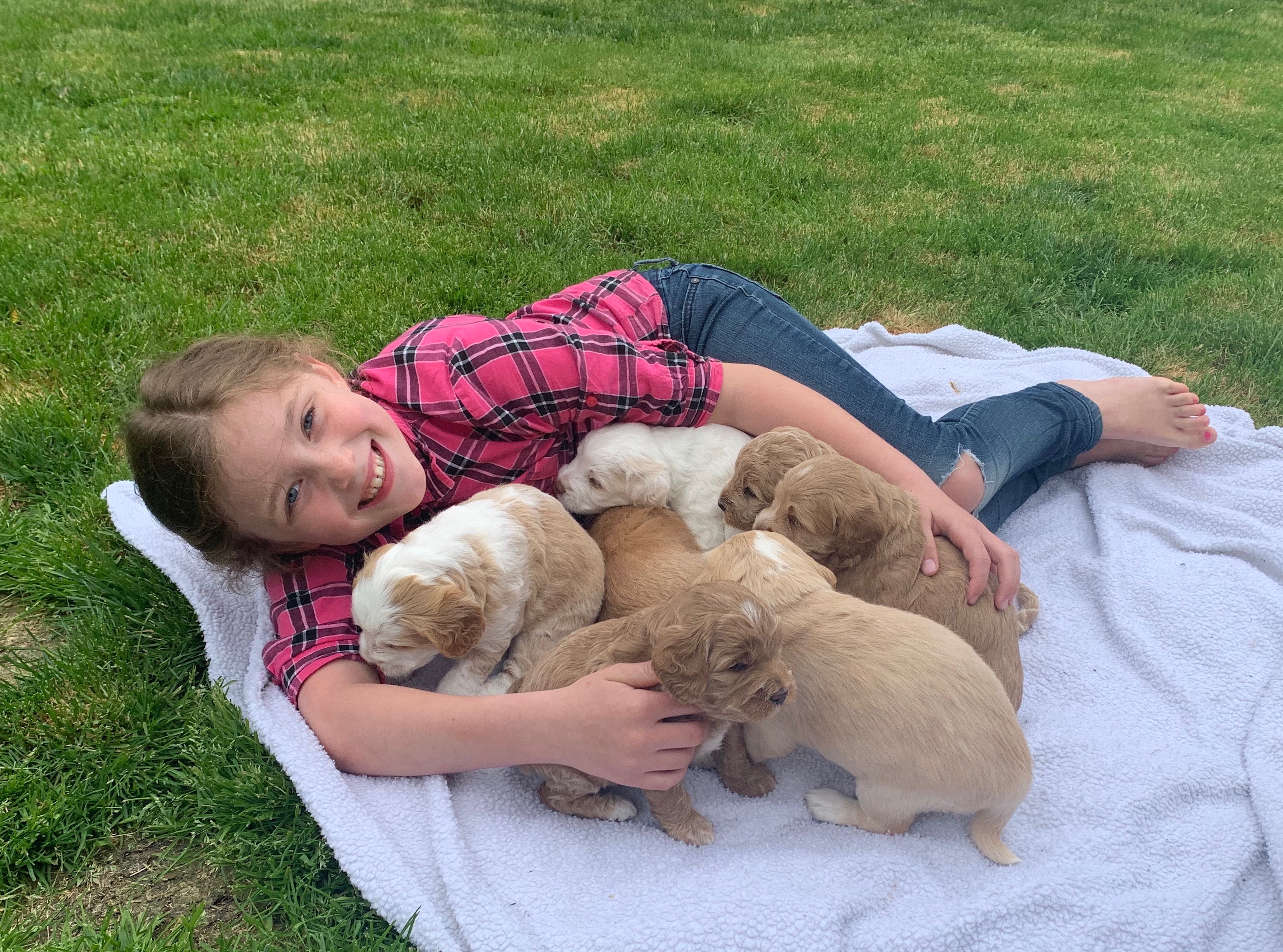 Puppy Snuggles