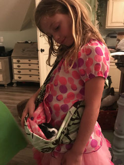 Australian Labradoodle Bio-sensory