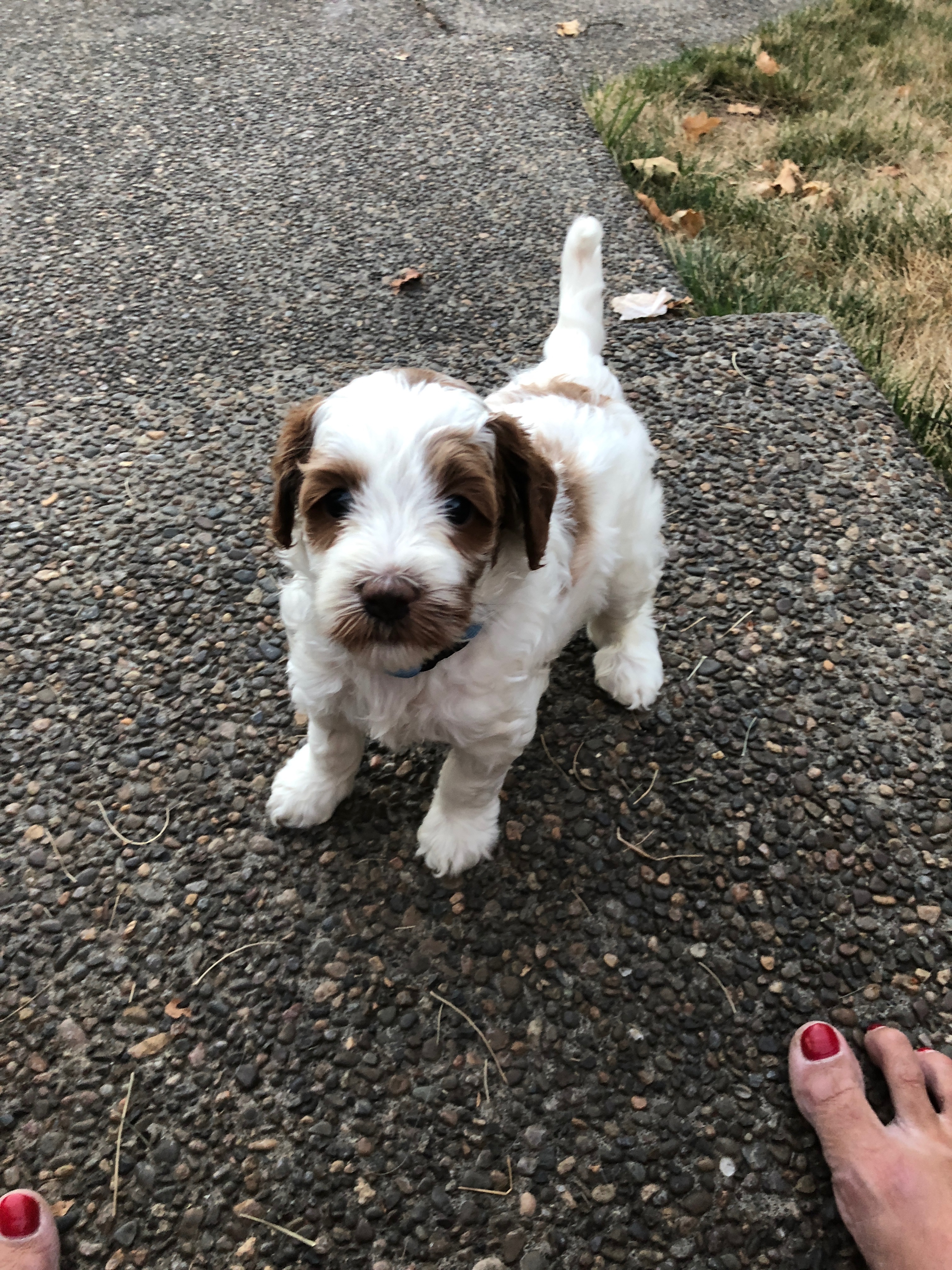 Hello Handsome!