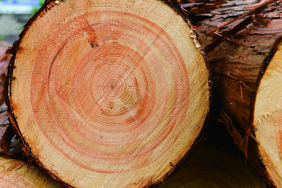 【2026.1.13】求 人 情 報 (県内の林業認定事業体)