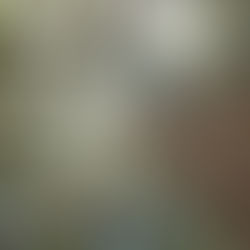 【2025. 11.11】求 人 情 報 (県内の林業認定事業体)