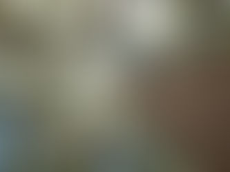 【2025. 11.11】求 人 情 報 (県内の林業認定事業体)