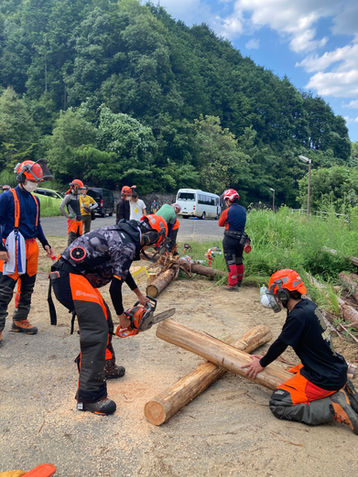 Some of the cut logs can be taken home as souvenirs. Forest Tour 2025 - Forest Worker Experience