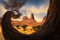 Saudi Arabia Photo Tour