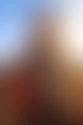 Saudi Arabia Photo Tour