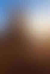 Saudi Arabia Photo Tour