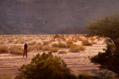 Saudi Arabia Photo Tour