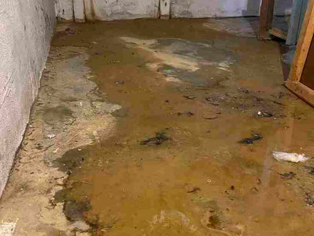 Why A Leak in A Foundation Must Be Addressed?