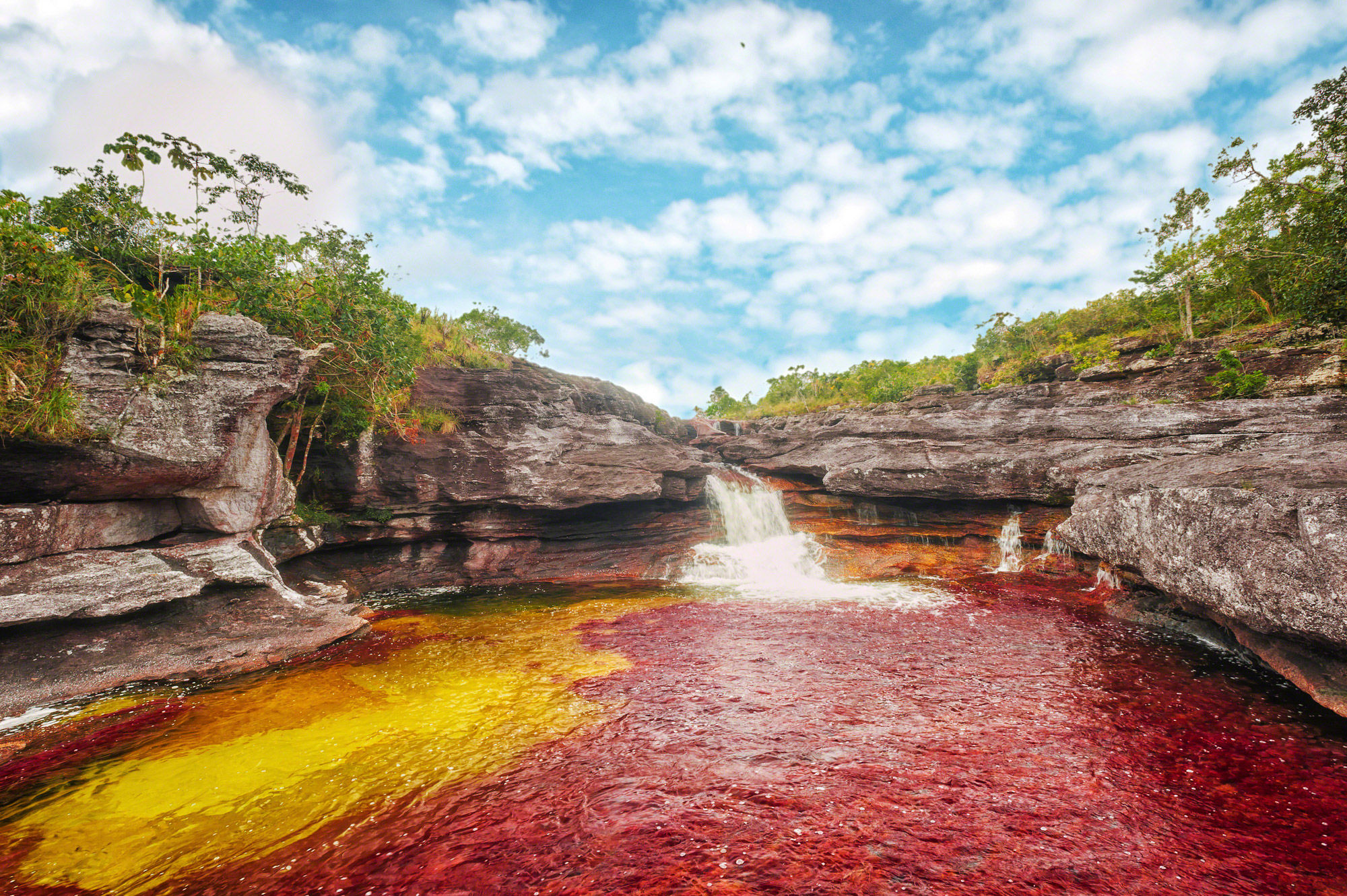 EXPO TURISTICA Caño Cristales - Meta/Villavicencio