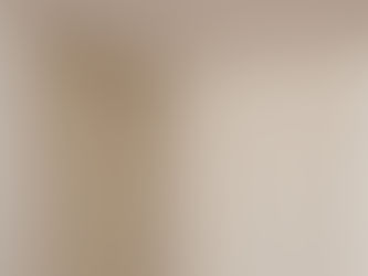 Window Shade Curtains