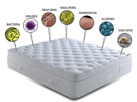 mattress viruses.jpg