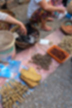 Fresh honeycomb, frogs, and a few other critters.