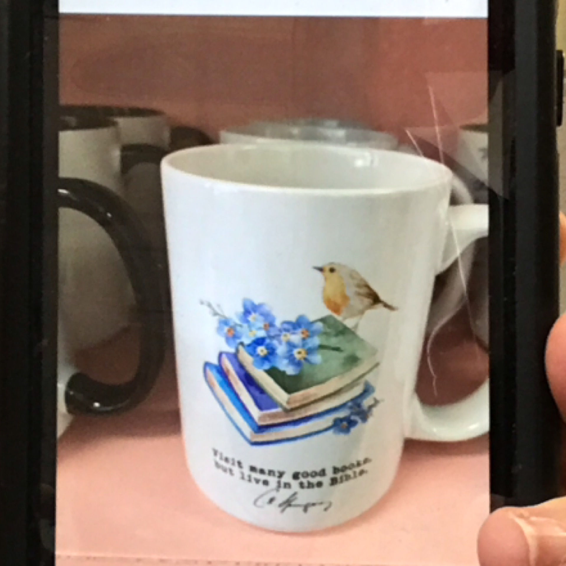 Visit Many Good Books Mug