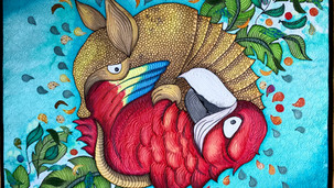 Parrot VS Armadillo