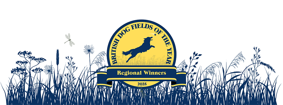Regional Winner_FB Cover.png