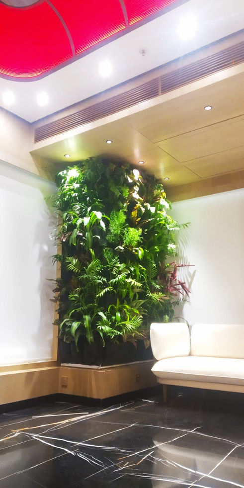Biowall
Vertical Garden