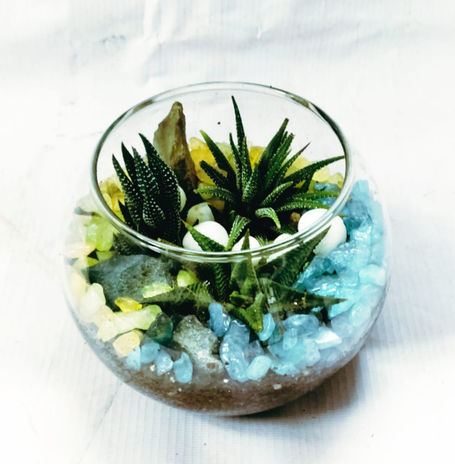 Terrariums