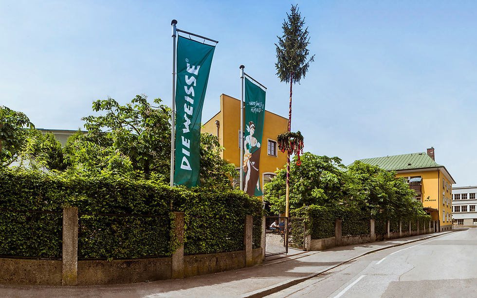 Caro Schmid, Salzburg, Werbeagentur, Art Direction und Grafik Design: Markenentwicklung & Strategie, Corporate Identity, Grafikdesign, Editorial, Packaging, Printdesign. Experte für Gastronomie und Hotellerie.