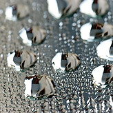 Maschinenbau, Drehen, Fräsen, Baugruppenmontage, Reinraum, Messtechnik, Reinigungsanlage, Luftfahrt, Raumfahrt, Rennsport, Halbleiter - Halbleiterindustrie, Vakuumtechnik, Vakuumteile, Ultraschallreinigung, Reinraummontage, Zerspanung, Supplier, Zertifizierung,