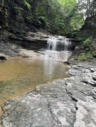ריפוד עור או בד - זו לא השאלה                       אלא איך להתמודד עם המגיפה של המאה