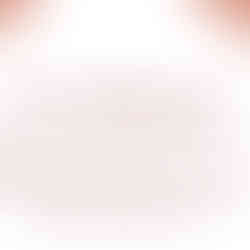 שקופית עם הסבר על רצפת האגן