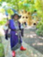 Forest Wizard