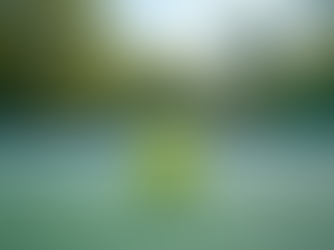 How the Robert Unsworth Foundation is Transforming Youth Tennis in Reno