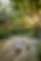 0_1-83.webp