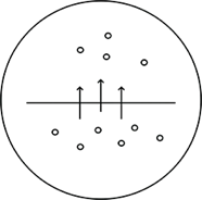 extract.webp