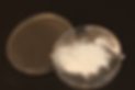 IMG_0716_edited.png
