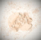 shutterstock_414167527_edited.jpg