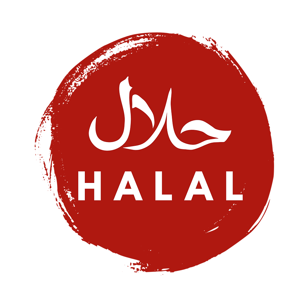 Halal B&S Grill.png