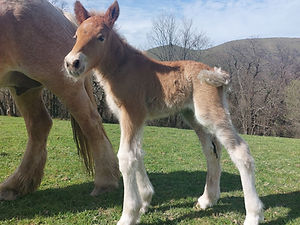20230325_151905_edited.jpg