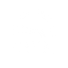 Taylored Pickleball Academy LOGO