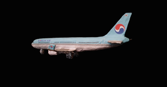 Airbus 330-300_3.jpg
