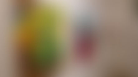 Vernisáž Vladimíra Josefa Dvořáka a vánoční setkání FasterFish | Galerie NSPU Praha